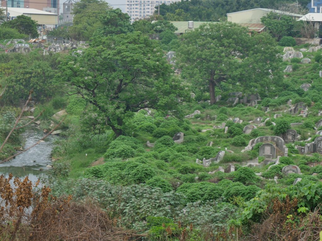 An aerial view of Nanshan Cemetery, where winding streams and dense greenery cradle thousands of historic graves—now at the heart of a preservation battle.